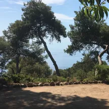 Bilocale